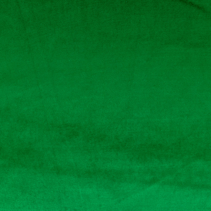 Tricot de velour uni - VENEZIA - Vert