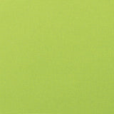 9 x 9 inch Home decor fabric Swatch - Sunbrella Furniture Solid Canvas 5429 Macaw