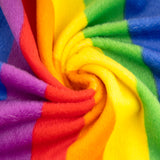 Micro Chenille Stripe - Pride - Multicolour