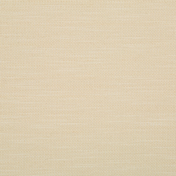 Home Decor Fabric - Robert Allen Crypton - Primotex bk Ivory