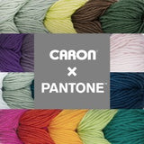 CARON PANTONE 3-100G DANE GREY