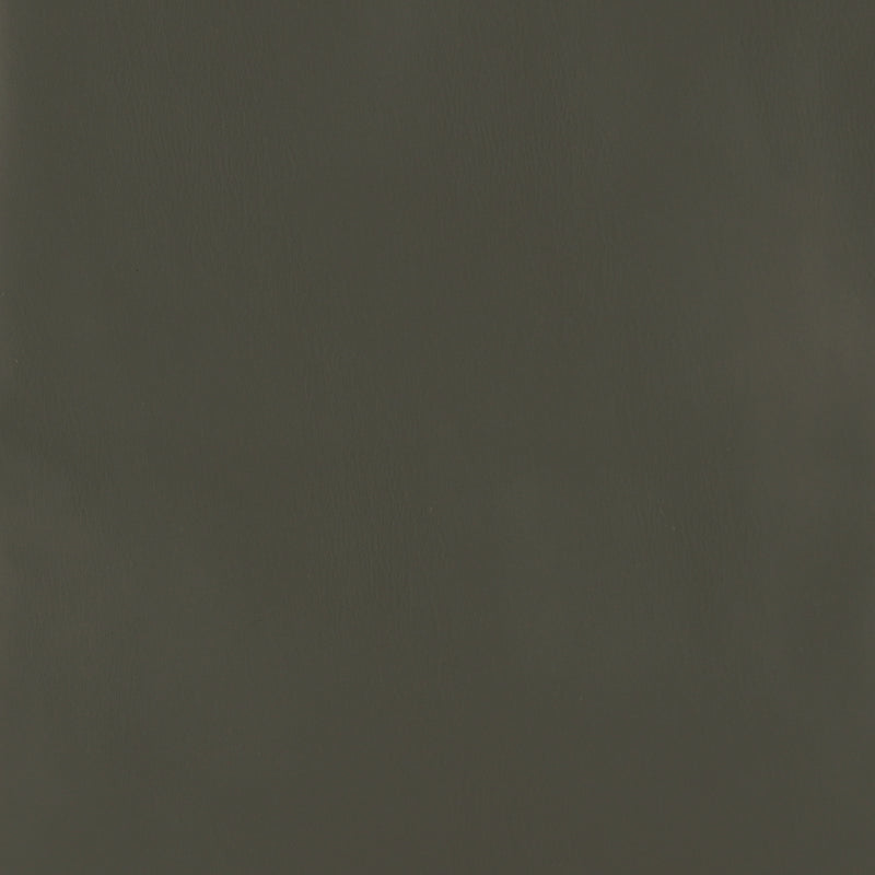 Aspect cuir souple - 001 - Charbon