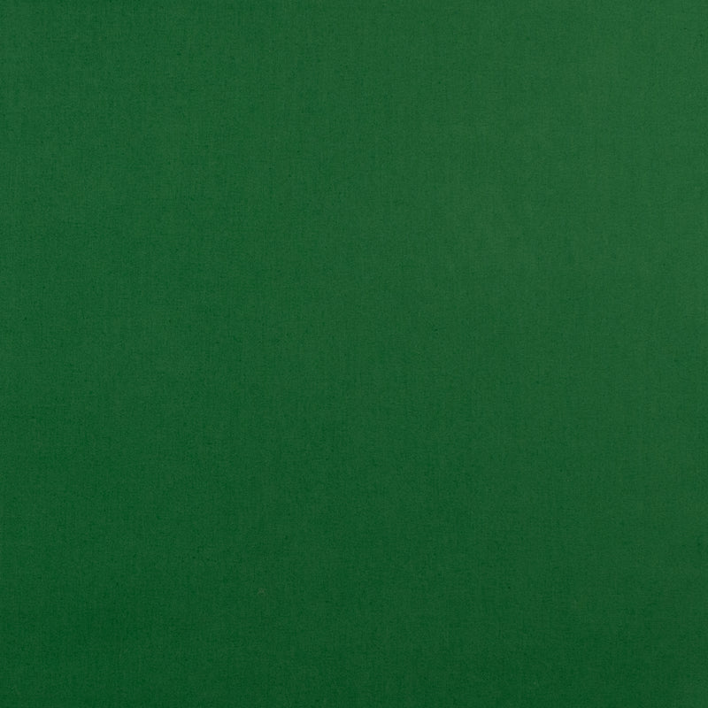 Coton Classique uni - &lt;SEW&gt; - 010 - Vert