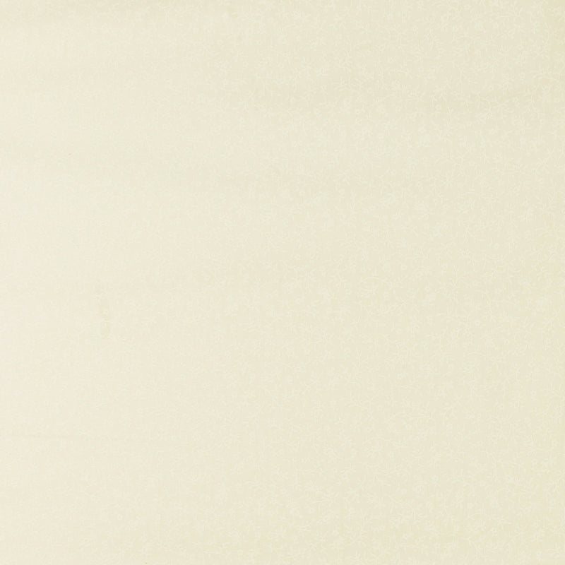 Lacquer print - DAISY MAY - Viney - 121 - White