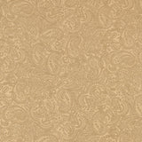 Complément cachemire - 001 - Naturel