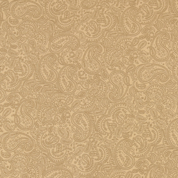 Complément cachemire - 001 - Naturel