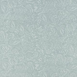 Complément cachemire - 002 - Argent