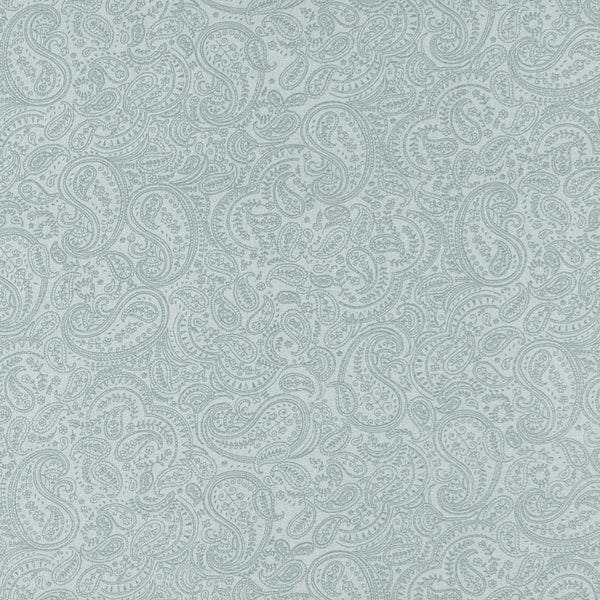 Complément cachemire - 002 - Argent