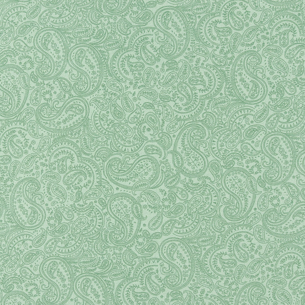 Complément cachemire - 003 - Basilic