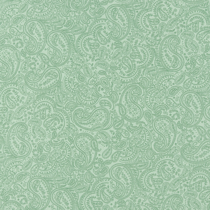 Complément cachemire - 003 - Basilic