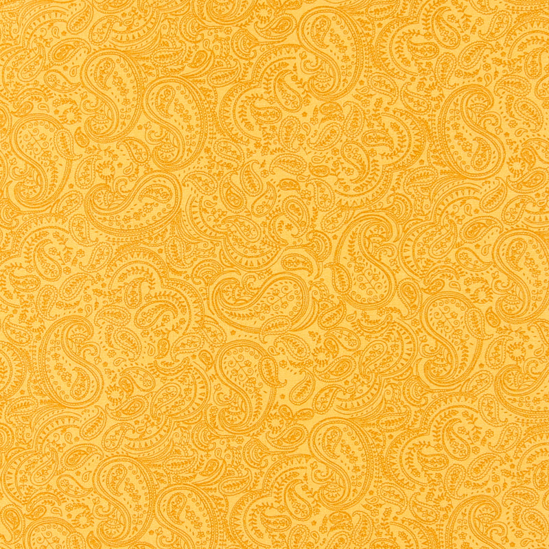 Complément cachemire - 004 - Moutarde