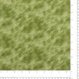 Complément chatoyant - 005 - Sauge