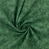 Complément chatoyant - 008 - Forêt