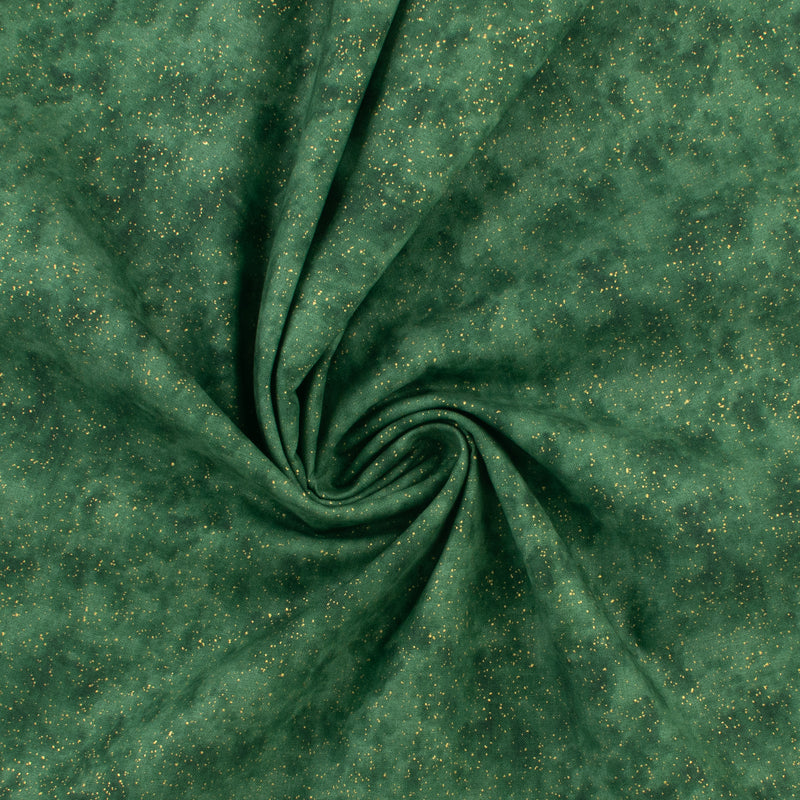 Complément chatoyant - 008 - Forêt