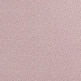 Complément botanique - 001 - Orchidée