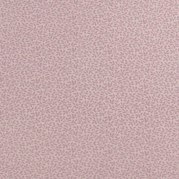 Complément botanique - 001 - Orchidée