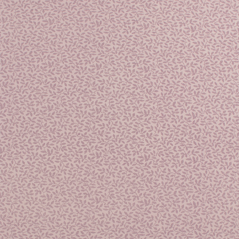 Complément botanique - 001 - Orchidée