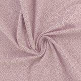 Complément botanique - 001 - Orchidée