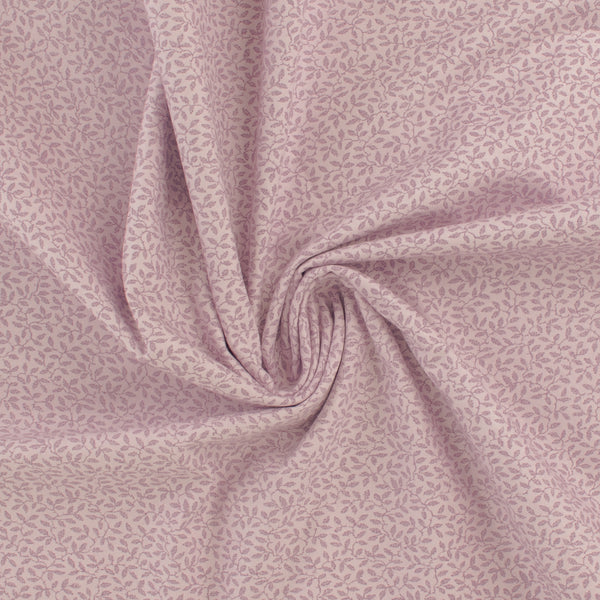 Complément botanique - 001 - Orchidée