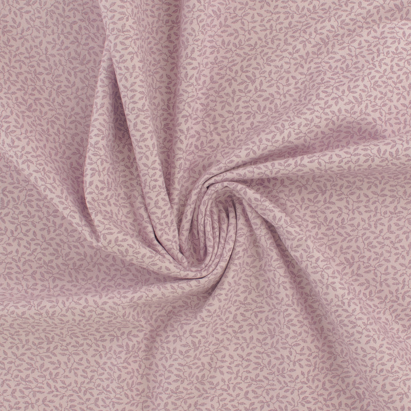 Complément botanique - 001 - Orchidée