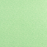 Complément botanique - 002 - Printemps