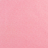 Complément botanique - 003 - Rose