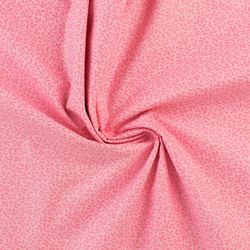 Complément botanique - 003 - Rose