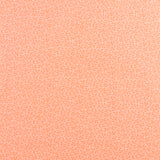 Complément botanique - 004 - Pêche