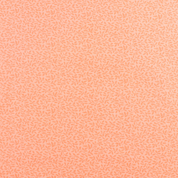 Complément botanique - 004 - Pêche