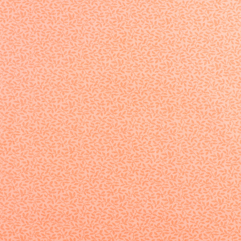 Complément botanique - 004 - Pêche