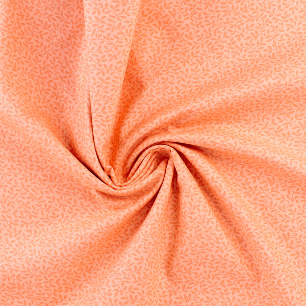 Complément botanique - 004 - Pêche