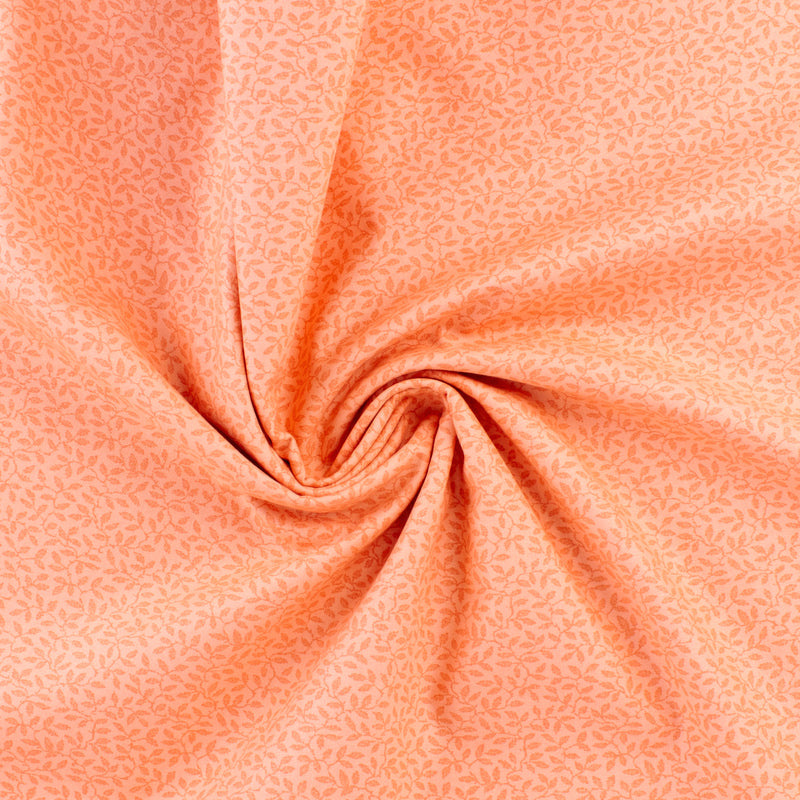 Complément botanique - 004 - Pêche