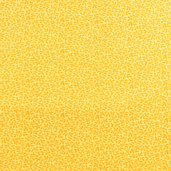 Complément botanique - 005 - Jaune