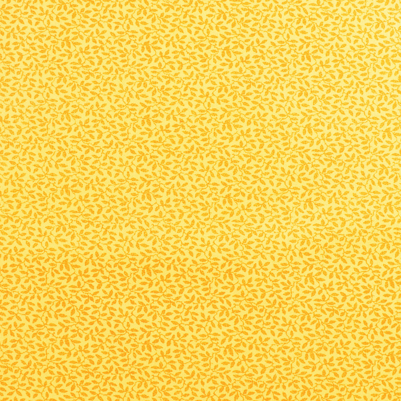 Complément botanique - 005 - Jaune