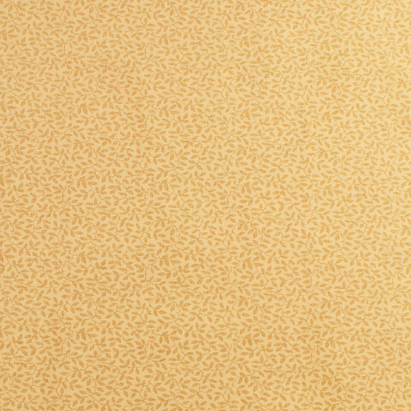 Complément botanique - 007 - Sable