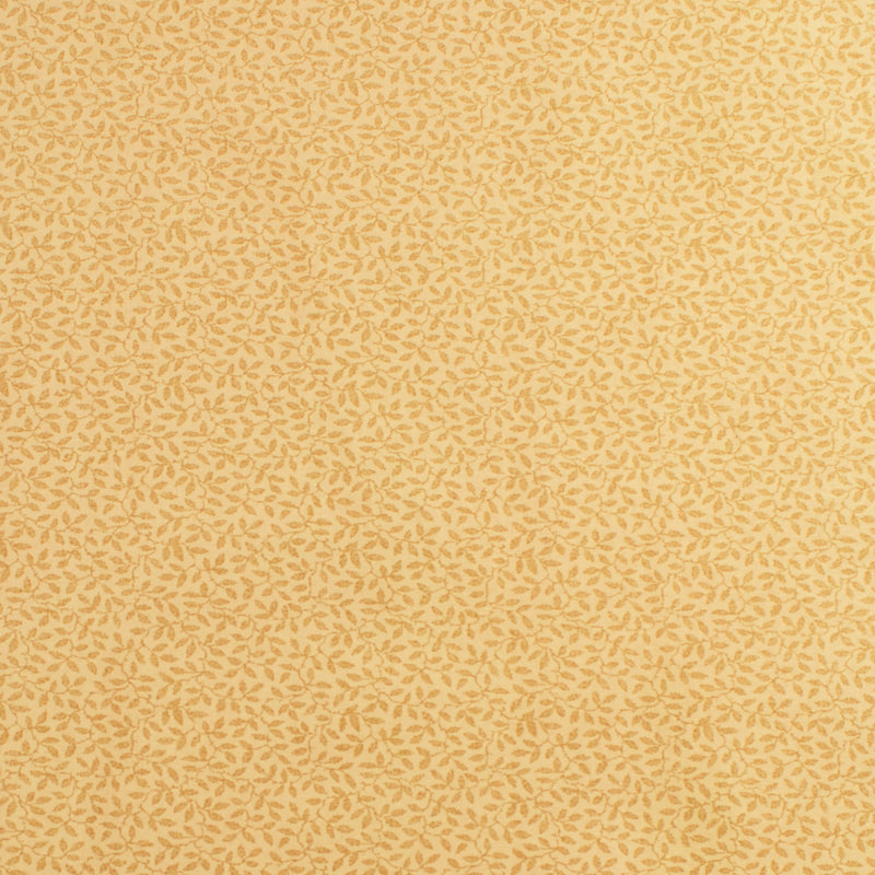 Complément botanique - 007 - Sable