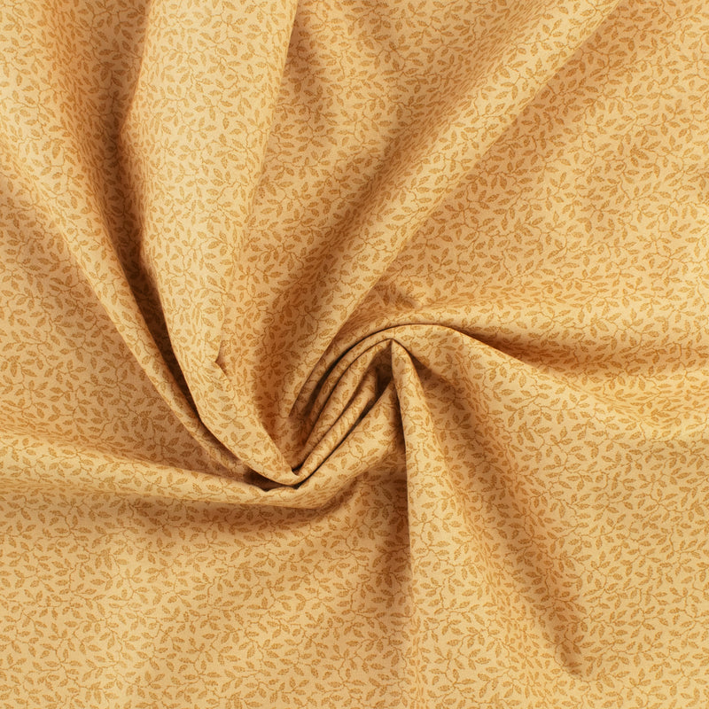 Complément botanique - 007 - Sable