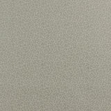 Complément botanique - 008 - Charbon