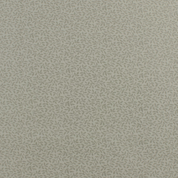 Complément botanique - 008 - Charbon