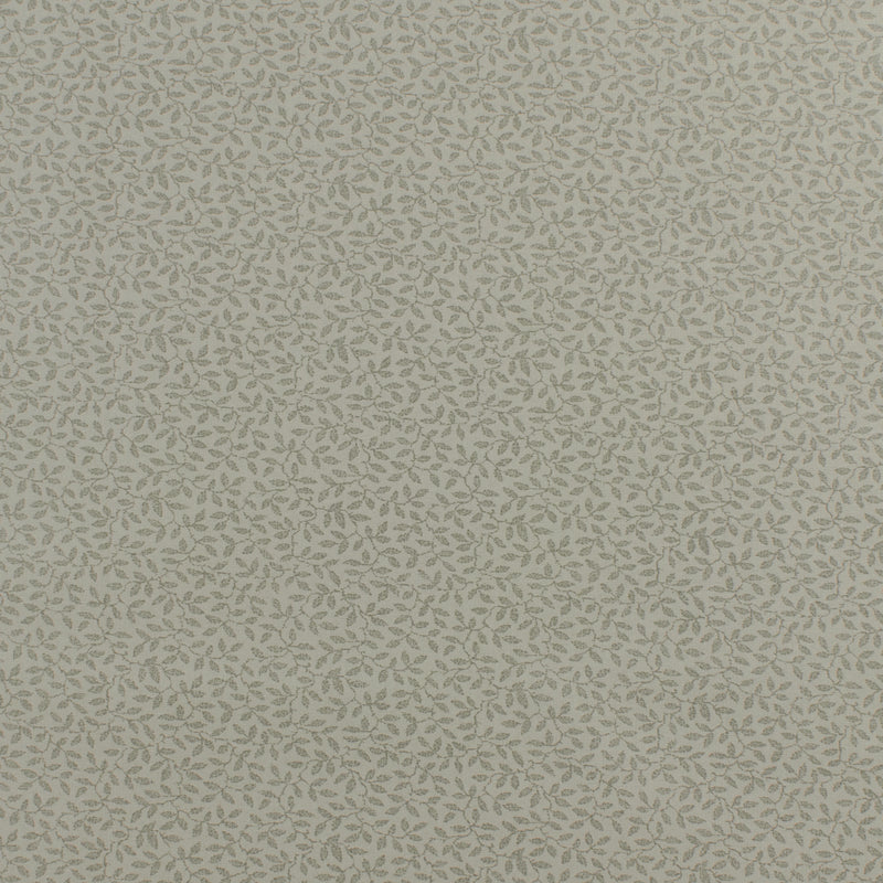 Complément botanique - 008 - Charbon