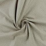 Complément botanique - 008 - Charbon