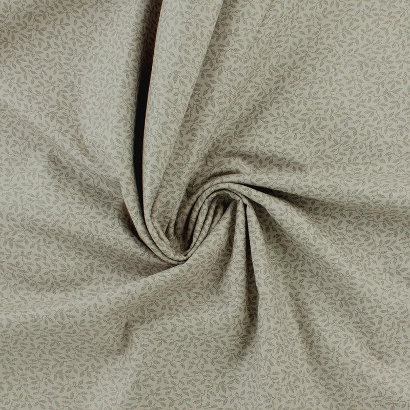 Complément botanique - 008 - Charbon