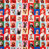 Printed Cotton - Jingle Pets II - 003 - Multicolor