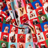 Printed Cotton - Jingle Pets II - 003 - Multicolor