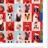 Printed Cotton - Jingle Pets II - 003 - Multicolor
