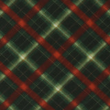 Botaniques de noël - Carreaux - 005 - Vert