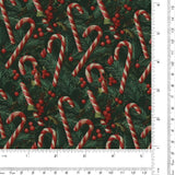 Holiday Treats - Candy Canne - 005 - Green