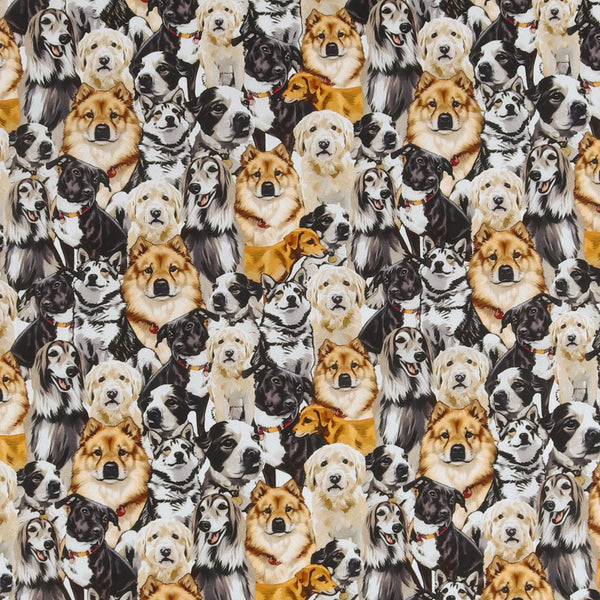 Printed Cotton - Dogs N Cats - 001 - Multicolor
