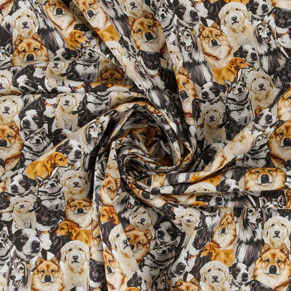 Printed Cotton - Dogs N Cats - 001 - Multicolor