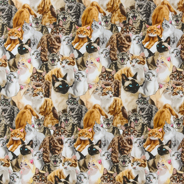 Printed Cotton - Dogs N Cats - 002 - Multicolor